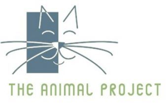 Animal project-web