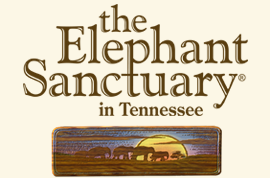 Elephant sanctuary